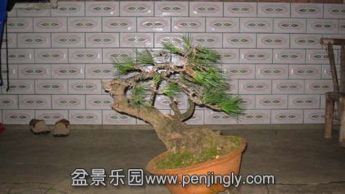IMG_8888_.jpg