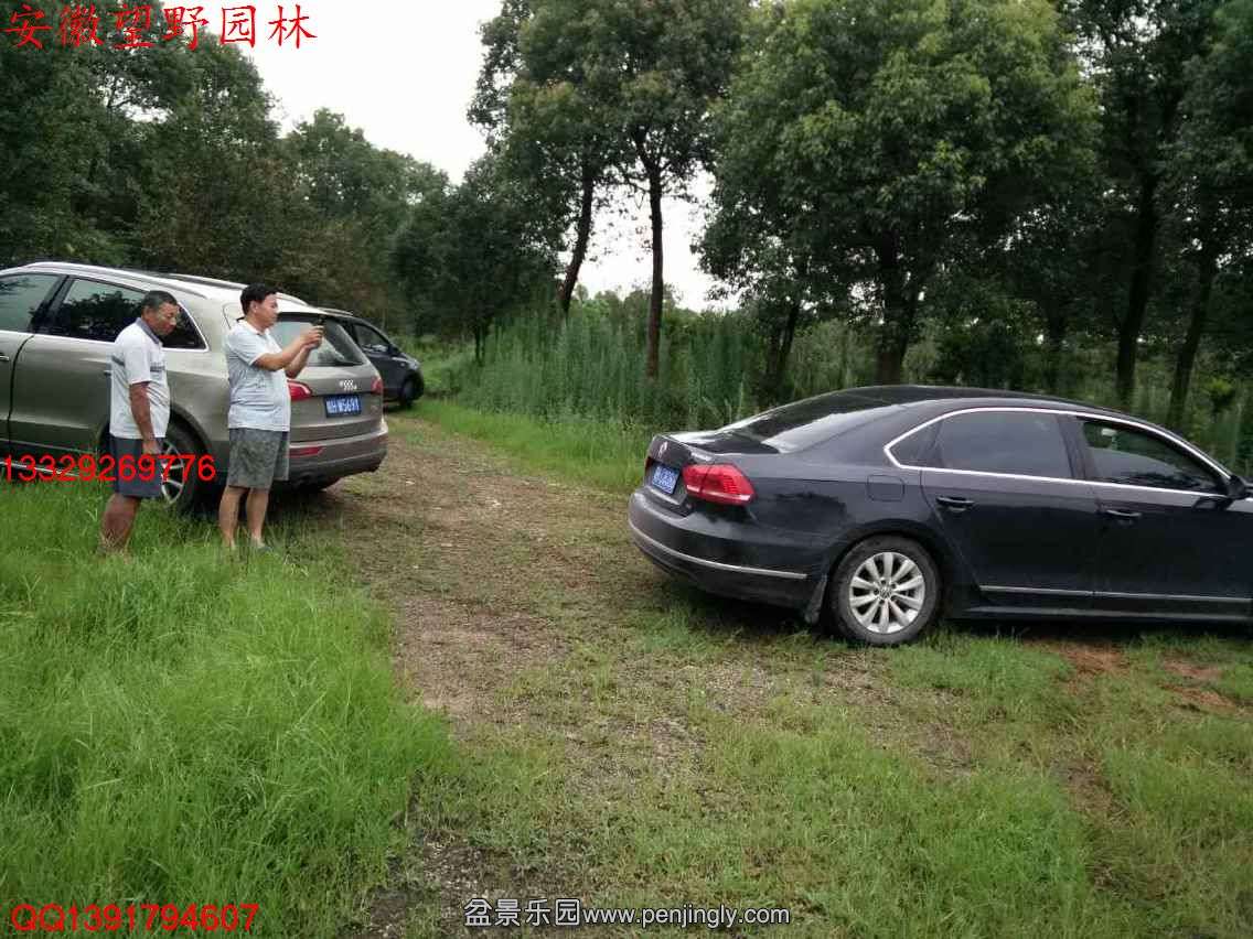 B4583A5C3DC4DB81396E8A3148AAED75.jpg