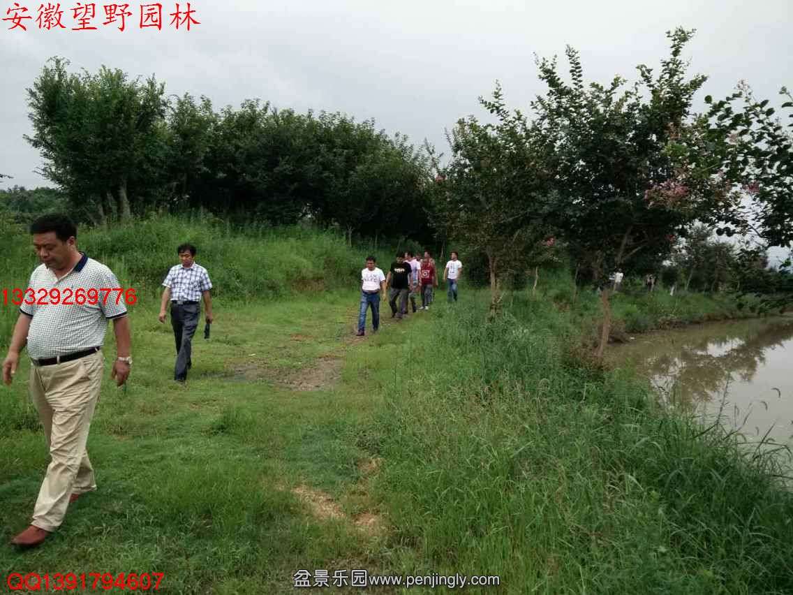 1402D272B6A560BAB8CF970956D9B095.jpg