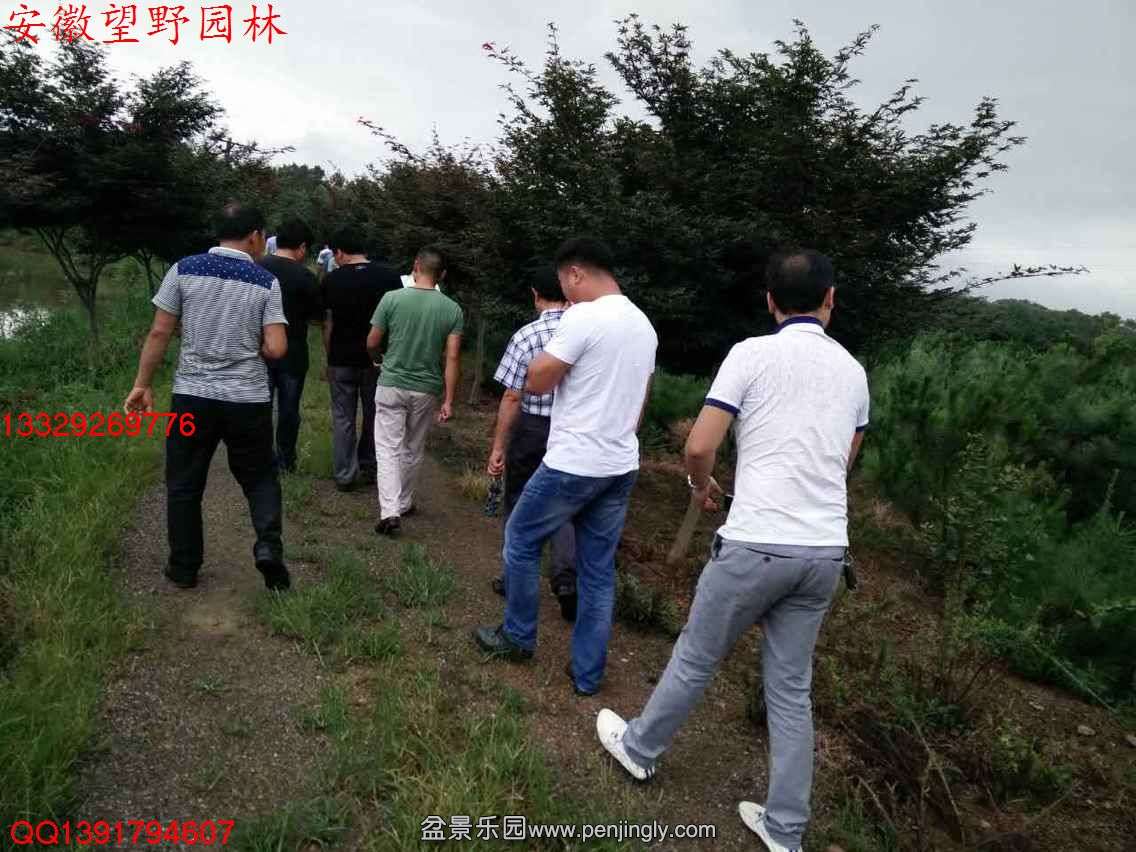 C9CBC6CB289B90C5338CAFADA199FE95.jpg