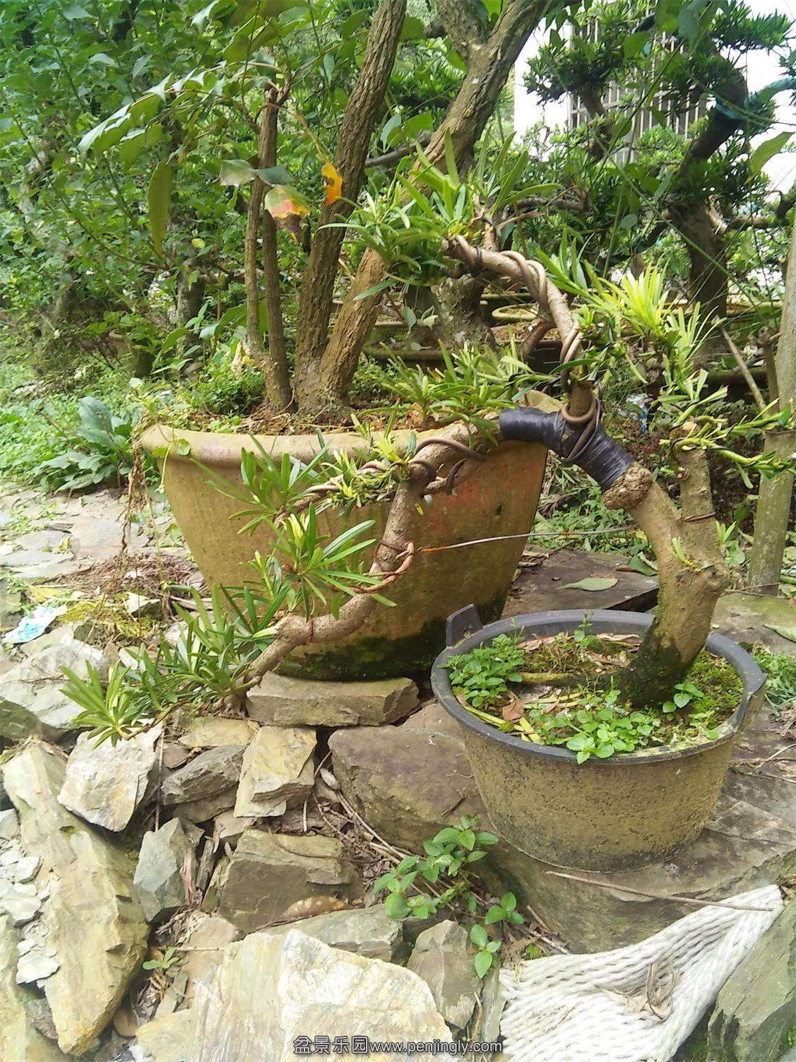 IMG20150711161242.jpg