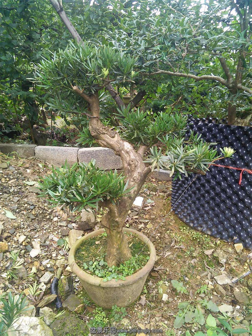 IMG20150711161408.jpg