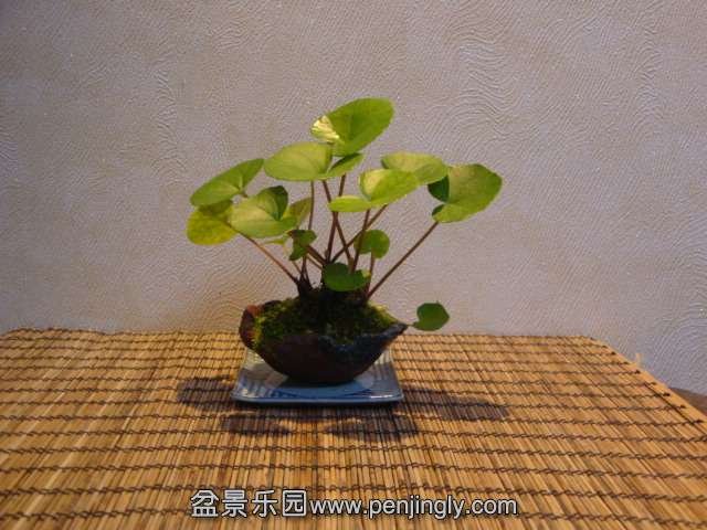 DSC01321.JPG