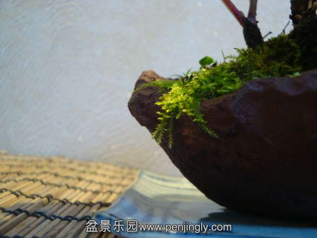DSC01323.JPG