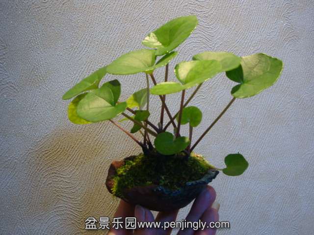 DSC01324.JPG