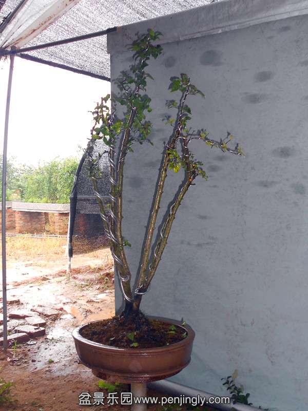DSCN2193_.jpg