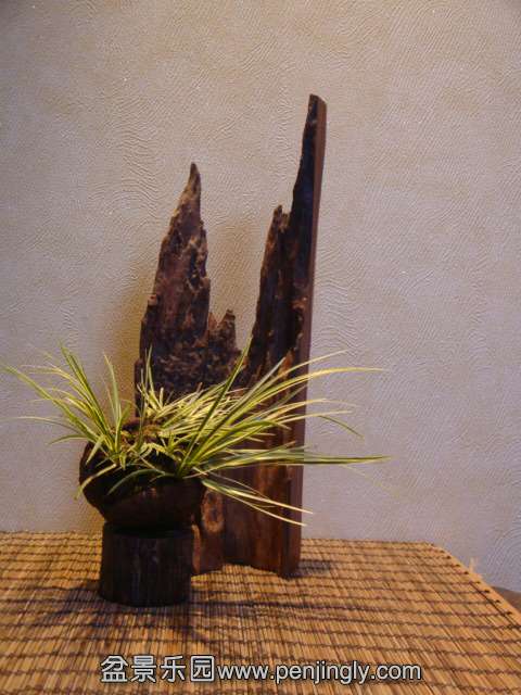 DSC01314.JPG