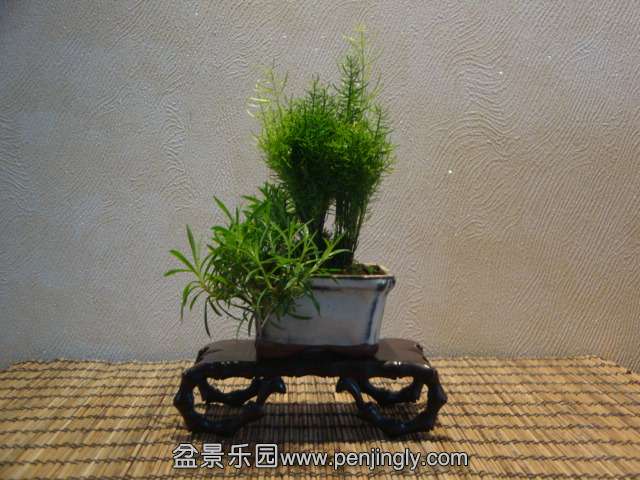 DSC01335.JPG