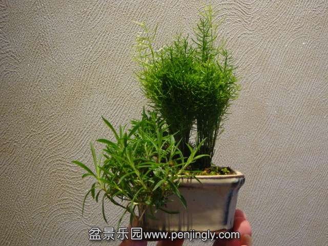 DSC01338.JPG