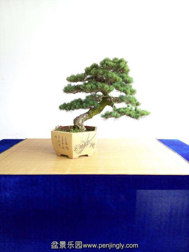 psb[4].jpg