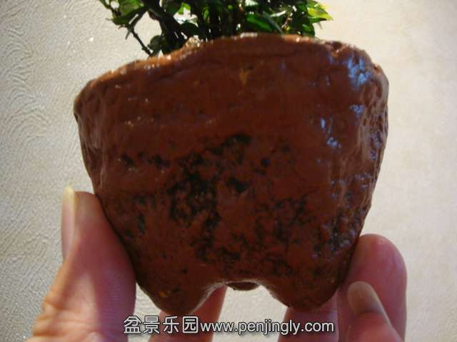 DSC01343.JPG