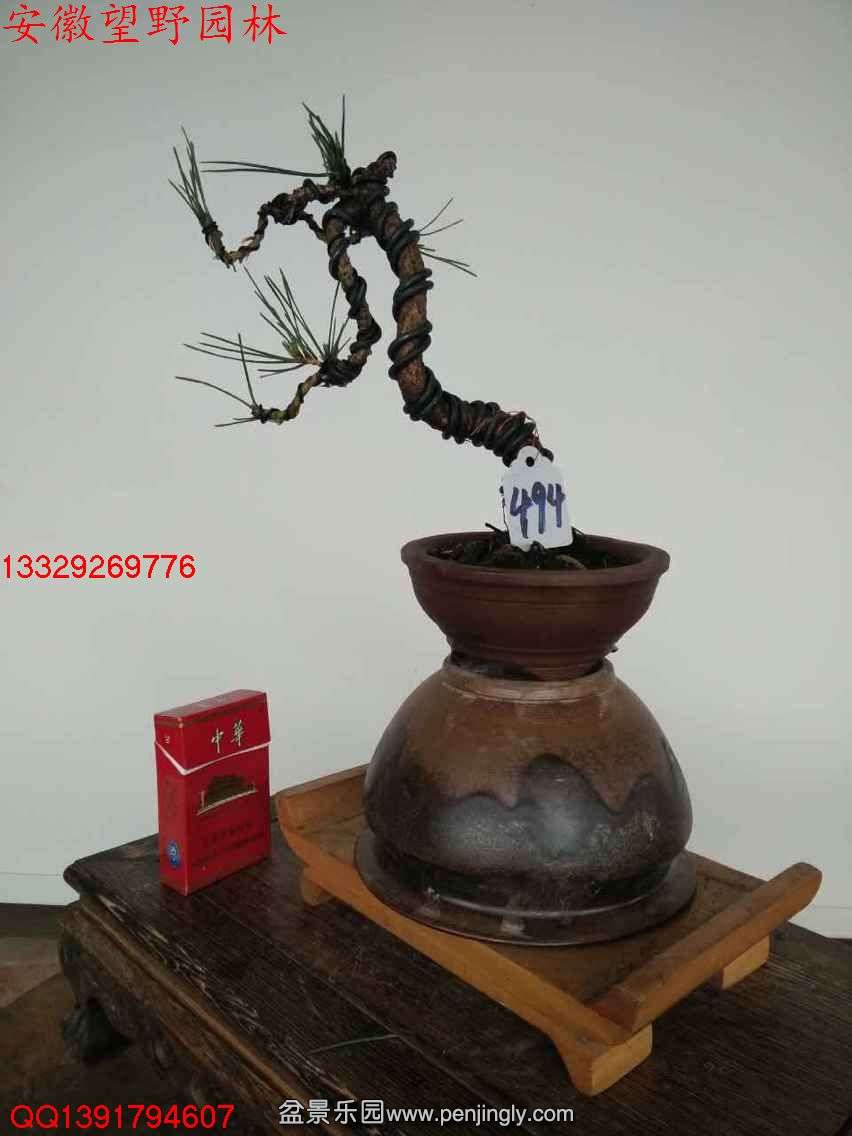 76EC84C985146B28D1F7D60BD9FFF860.jpg