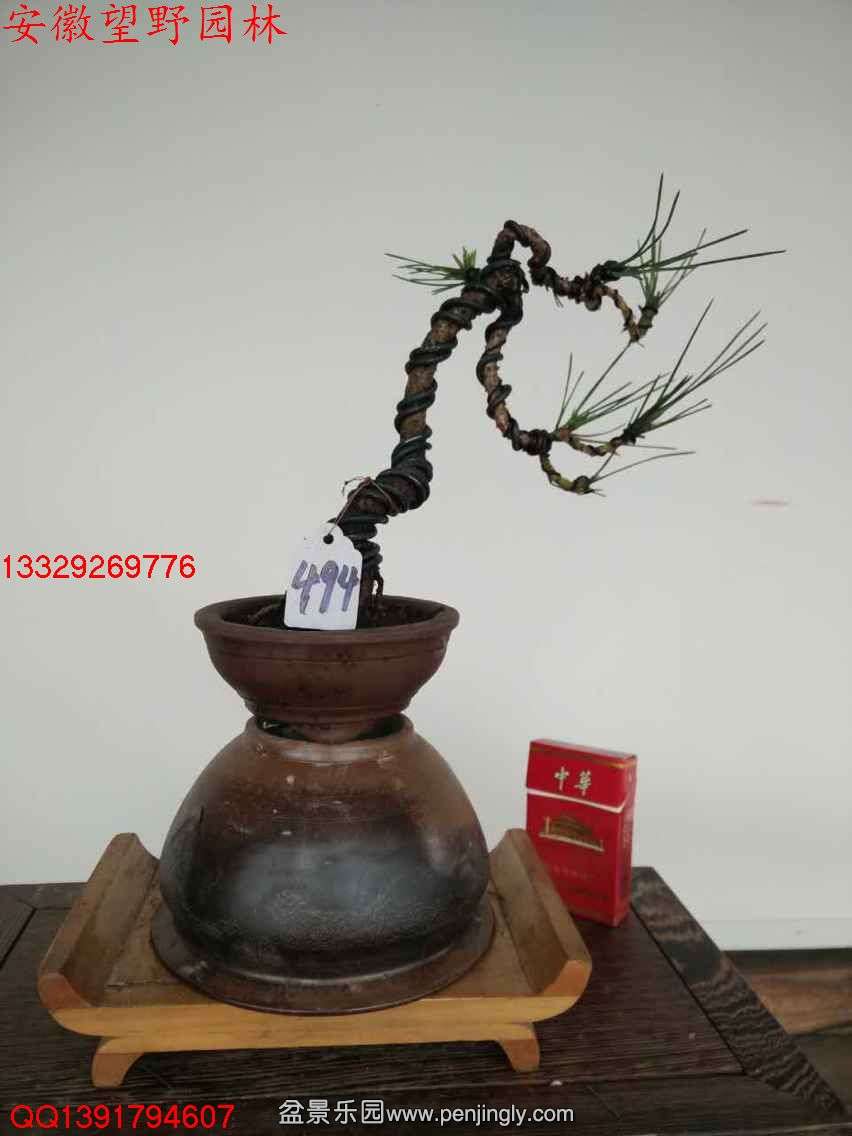 CD2B2F0A56396187D9E11391B2BAD729.jpg