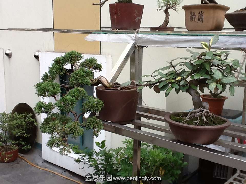 IPAD��Ƭ 235.jpg