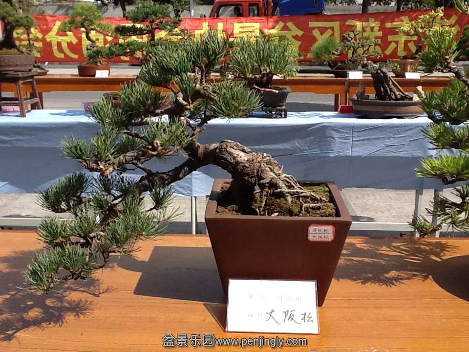 IPAD��Ƭ 031.jpg