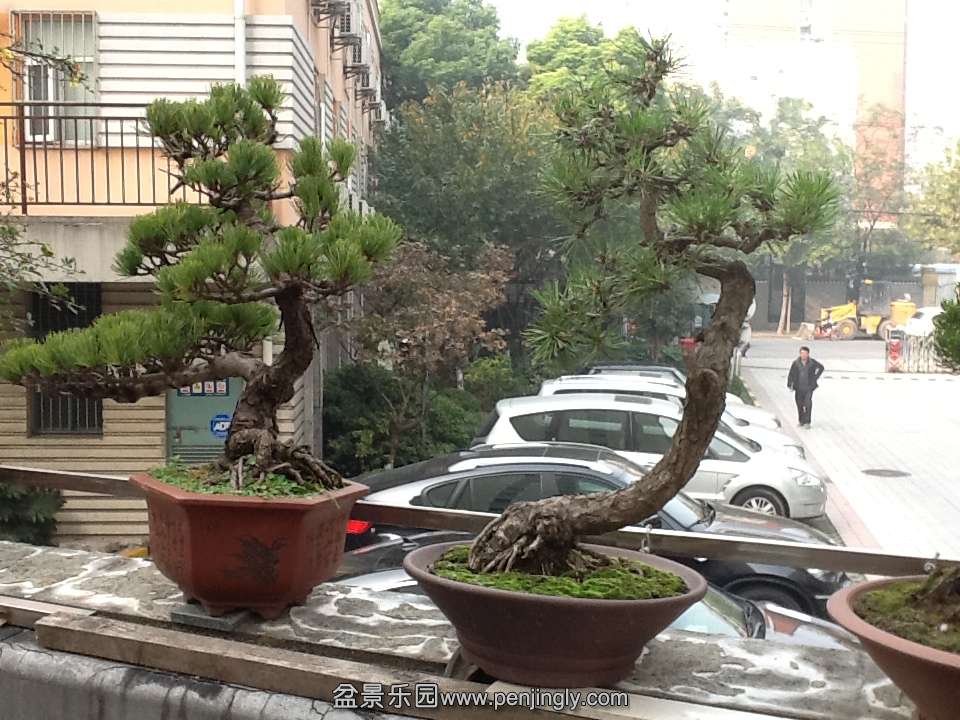 IPAD��Ƭ 229.jpg