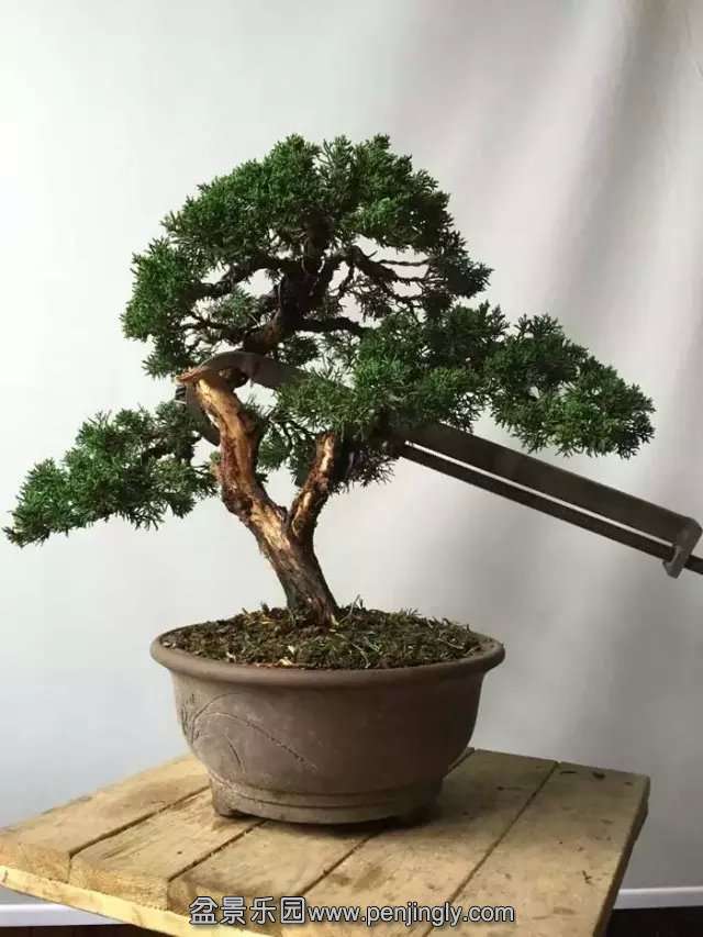 psb (45).jpg