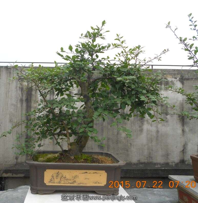 43÷ѻ8.jpg