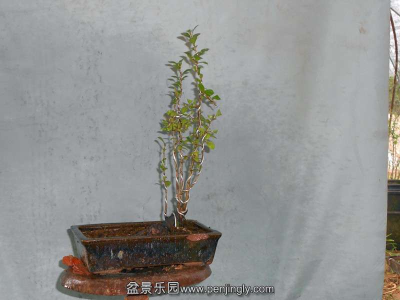 DSCN2222_.jpg