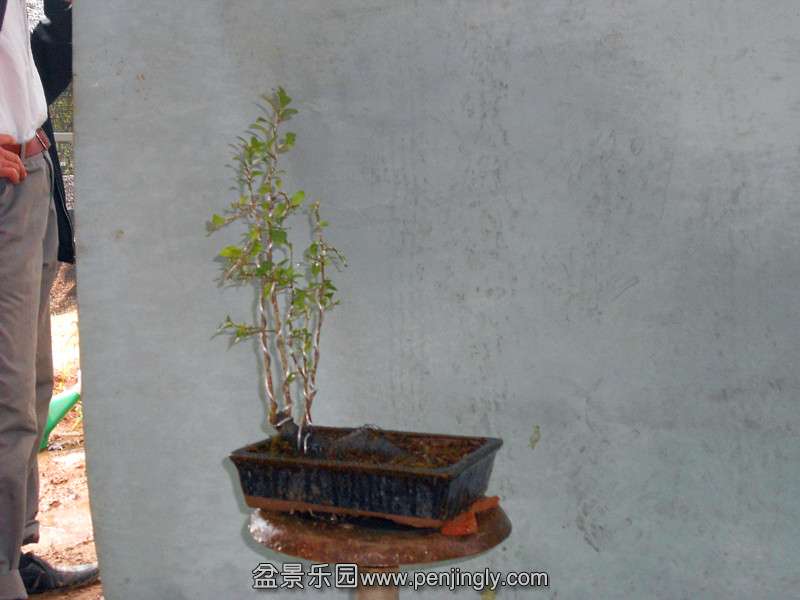 DSCN2219_.jpg