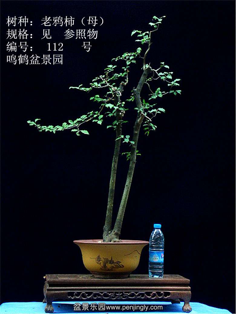 GEDC1214.JPG