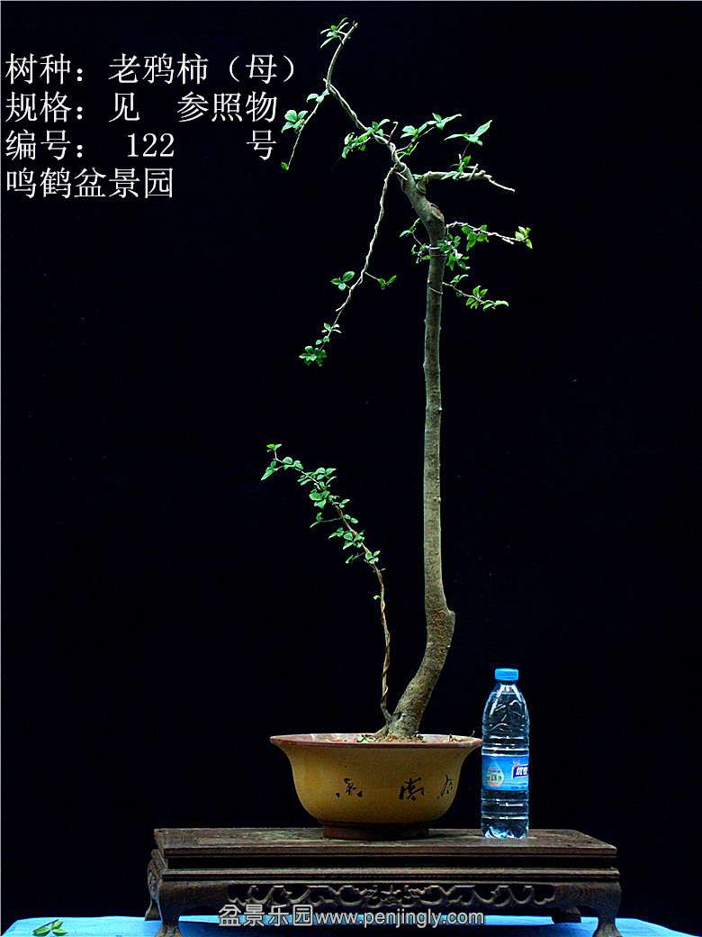 GEDC1239.JPG