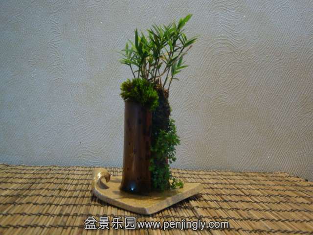 DSC01356.JPG