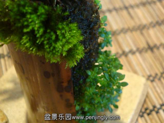 DSC01357.JPG