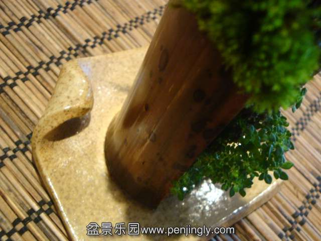 DSC01359.JPG