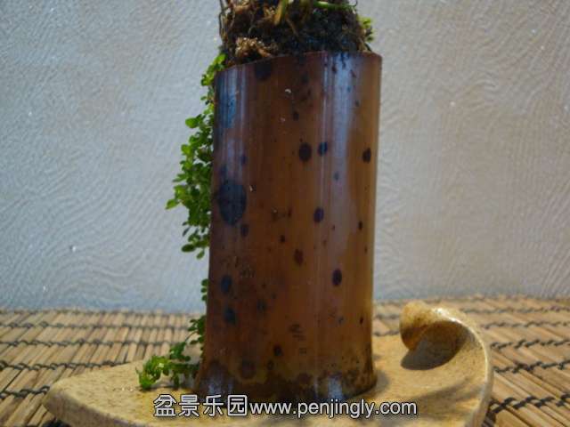 DSC01360.JPG