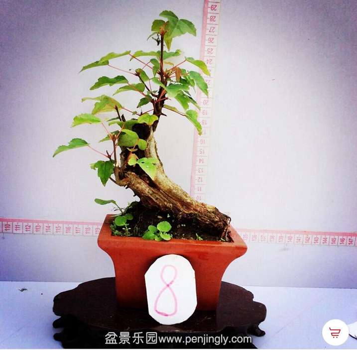 QQͼ20150724121505.jpg