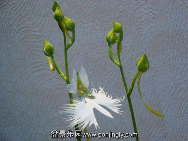 DSC01380.JPG