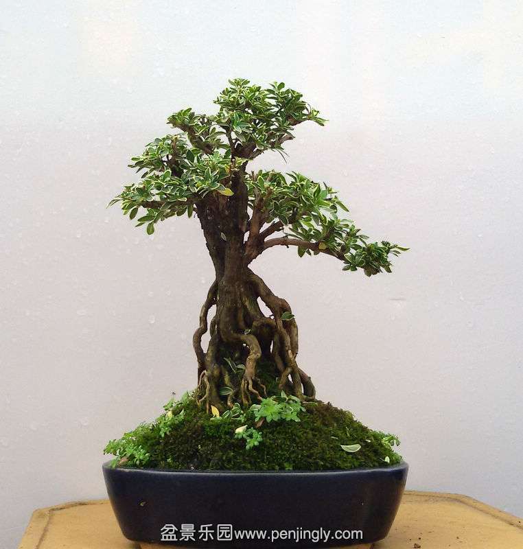 20150724_111533.jpg