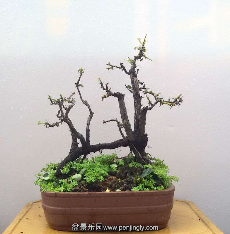 20150725_101334.jpg