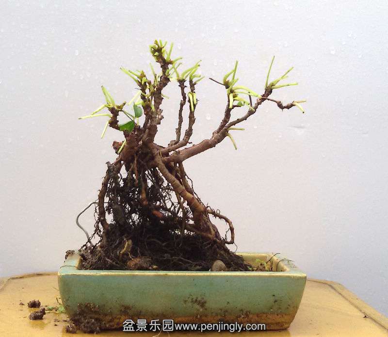 20150725_102739.jpg