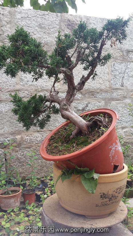20150723_133248.jpg