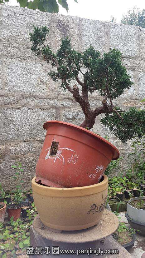 20150723_133257.jpg