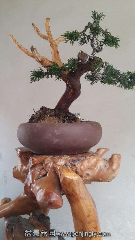 20150724_172917.jpg