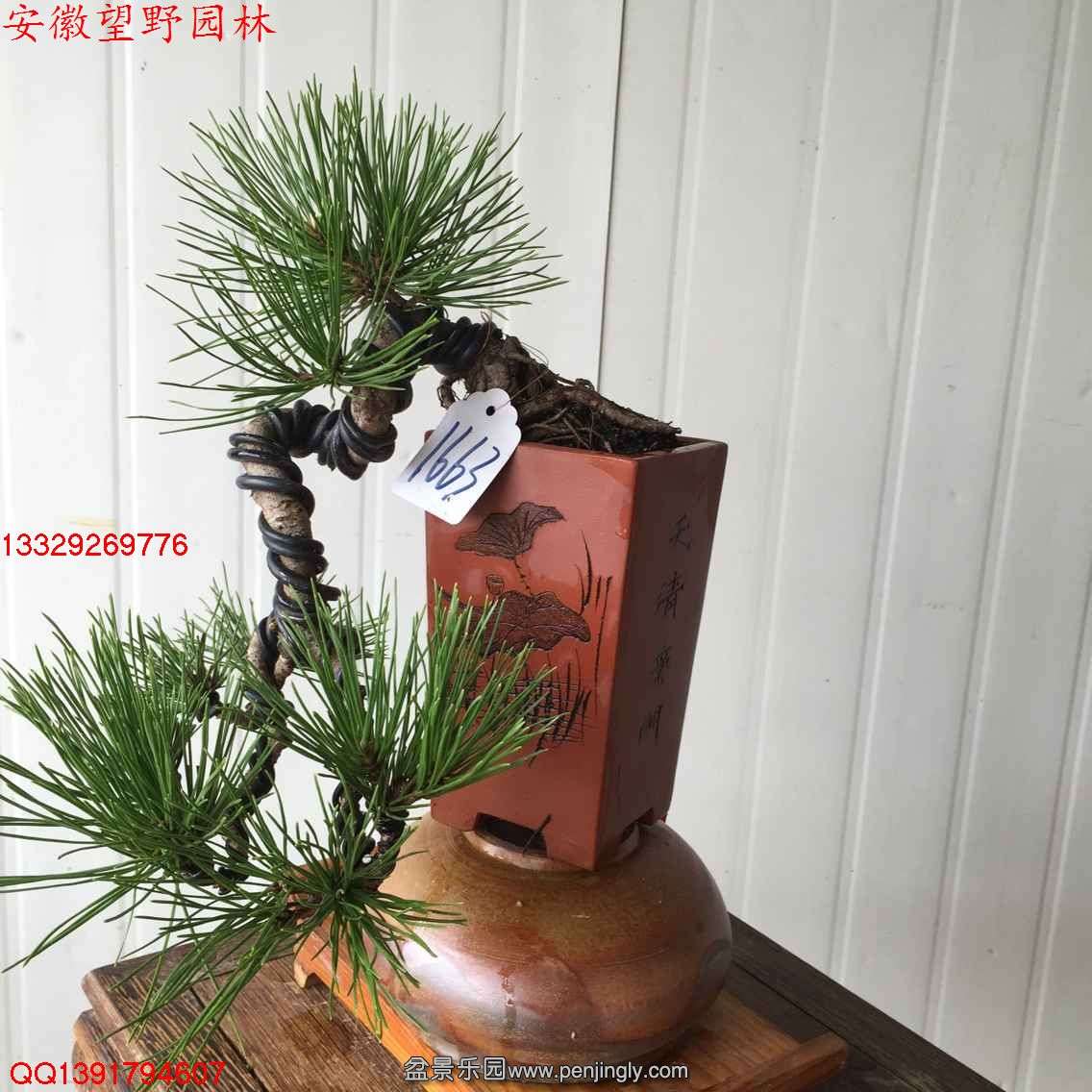 CFFCFD53D51CBC919F5733C61EF2FF27.jpg