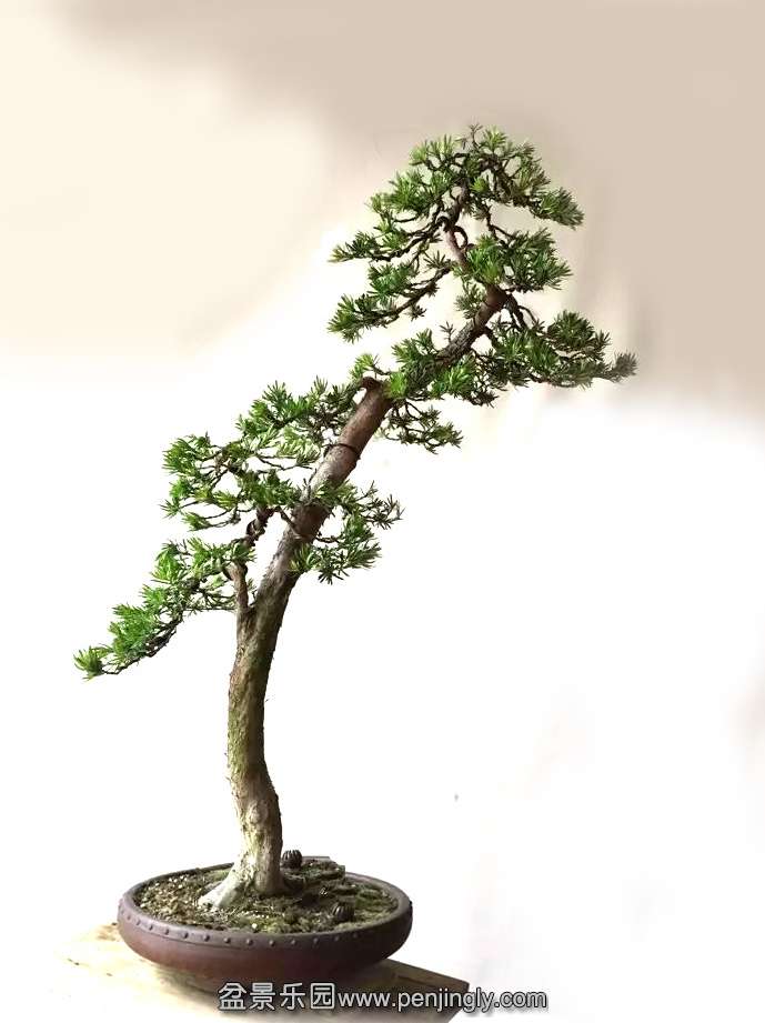 psb (6) ����.jpg