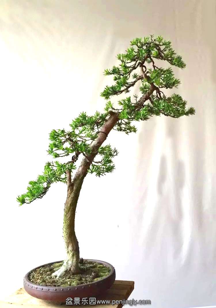 psb (7) ����.jpg