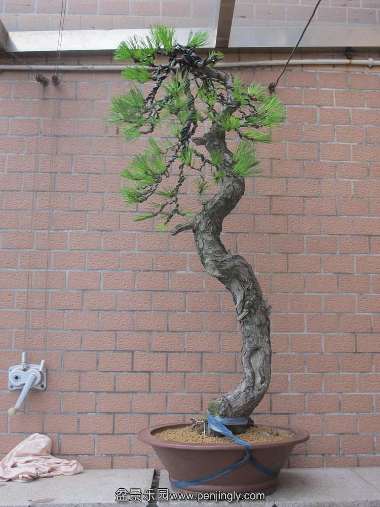 ֦4.jpg