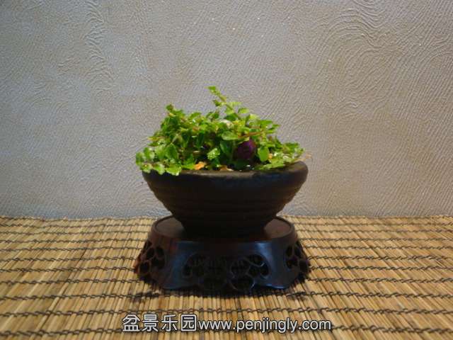 DSC01349.JPG