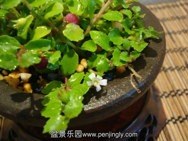 DSC01351.JPG