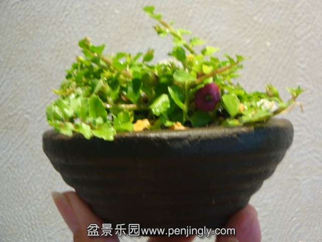 DSC01355.JPG