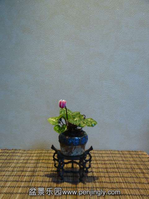 DSC01422.JPG