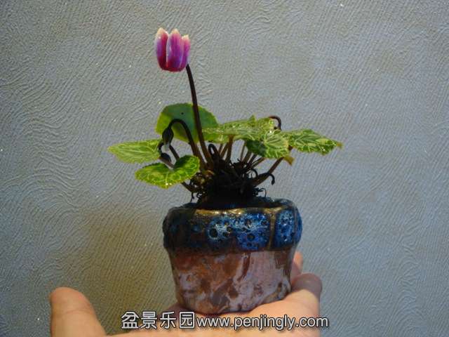 DSC01430.JPG