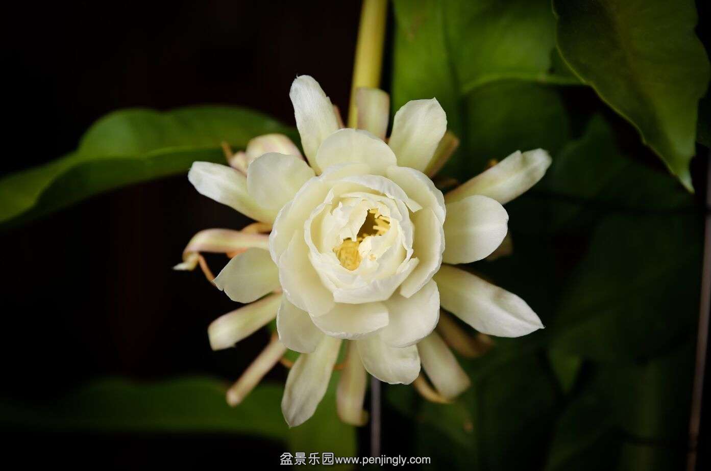 QQͼƬ20150801095407.jpg