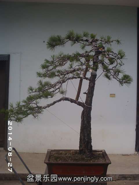 PHOT0375.JPG