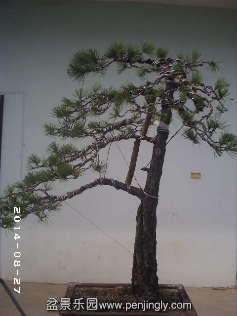 PHOT0376.JPG